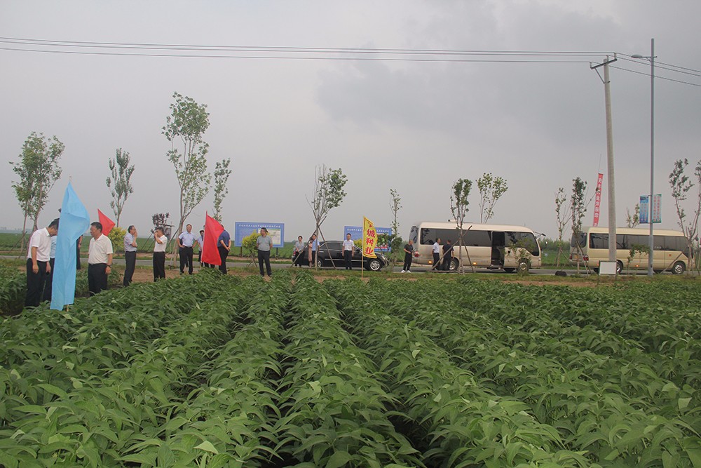 1629881744157822. jpg