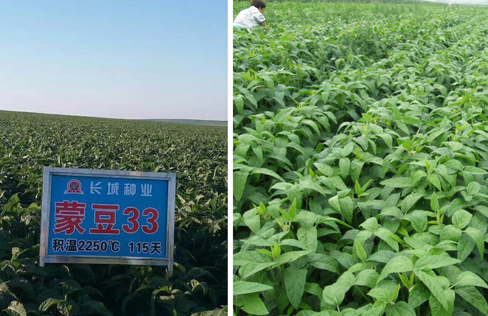 1766021150572592.jpg 1553745023113157.jpg